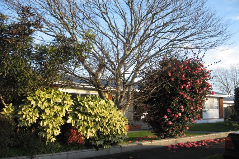 Photo of property in 2 Scott Avenue, Hamilton East, Hamilton, 3216