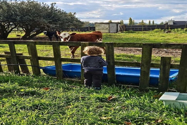 Photo of property in 160 Cemetery Road, Whatawhata, Hamilton, 3289