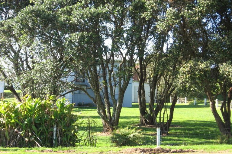 Photo of property in 857 Black Jack Road, Opito Bay, Whitianga, 3592