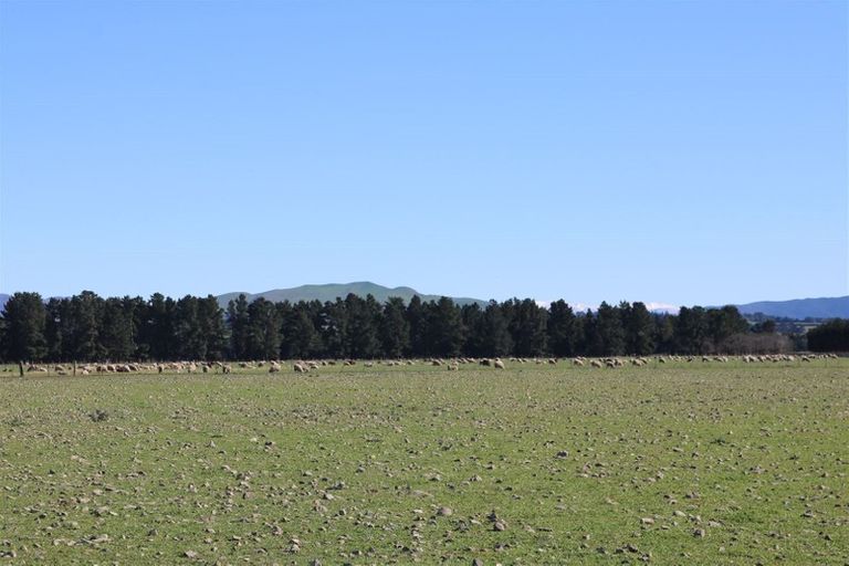 Photo of property in 161 Innes Road, St Albans, Christchurch, 8052