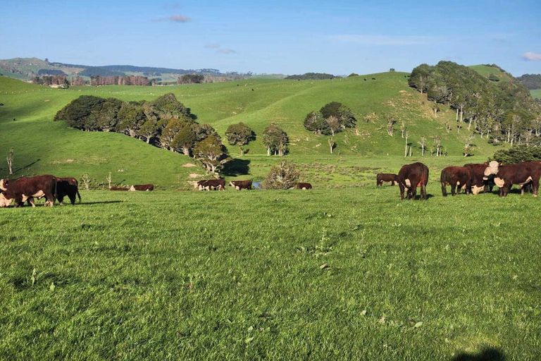 Photo of property in 899 Te Akau Road, Te Akau, Ngaruawahia, 3793