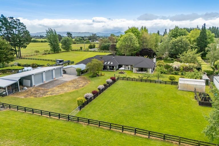 Photo of property in 41 Andrew Street, Kuripuni, Masterton, 5810