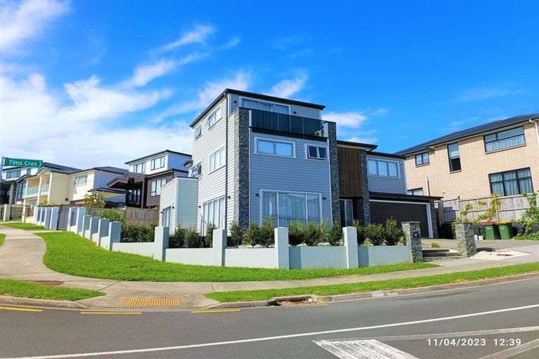 Photo of property in 119 Argento Avenue, Flat Bush, Auckland, 2019