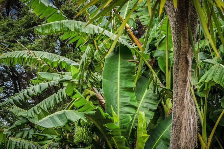 Photo of property in 15 Bruce Macgregor Lane, Puhoi, Warkworth, 0994