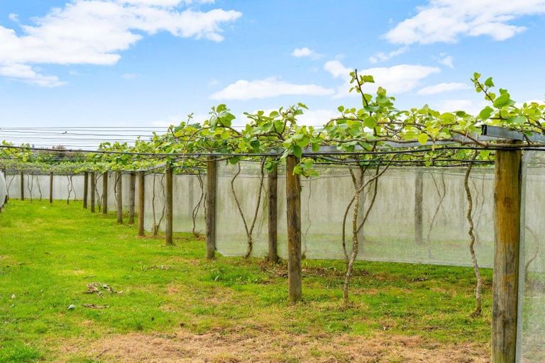 Photo of property in 988 Otaika Valley Road, Maungatapere, Whangarei, 0170