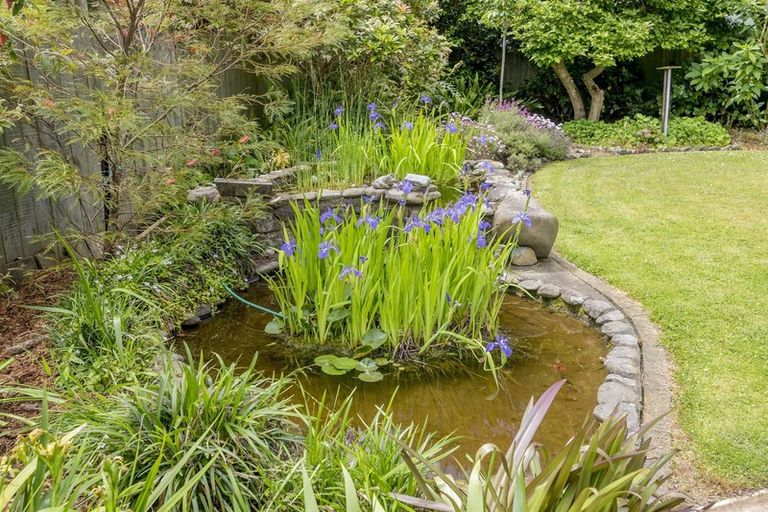 Photo of property in 321 Te Moana Road, Waikanae, 5036