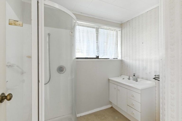 Photo of property in 12 Douglas Street, Levin, 5510