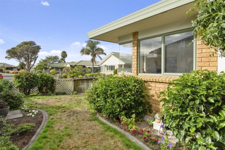 Photo of property in 11 Halesia Place, Mount Maunganui, 3116