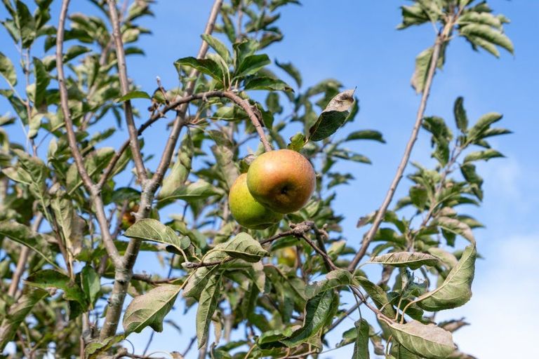 Photo of property in 32 Mccathie Road, Ruakaka, Whangarei, 0171