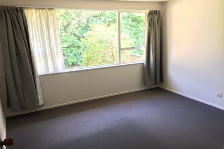 Photo of property in 65 Walters Road, Marshland, Christchurch, 8051