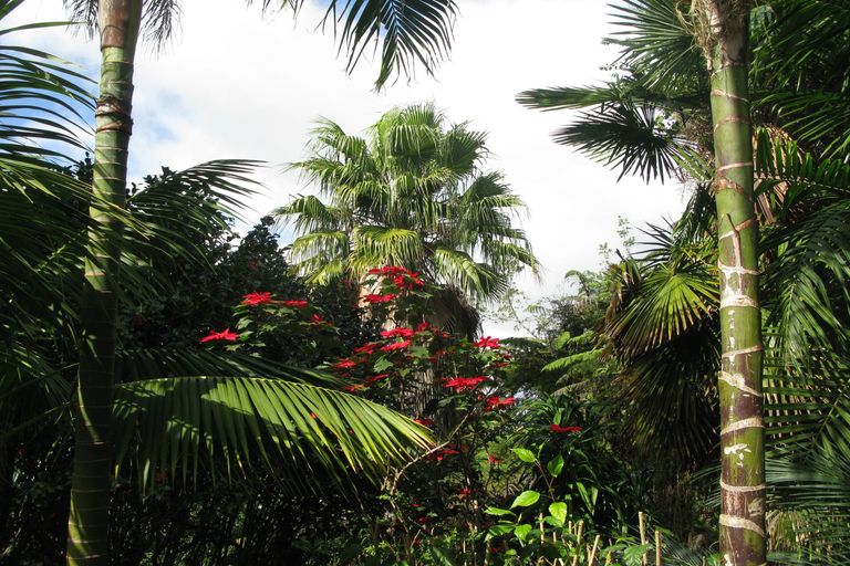 Photo of property in 82 Waterfront Drive, Mangonui, 0420