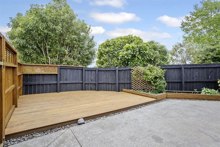 Photo of property in 24 Sapling Drive, Pukekohe, 2120
