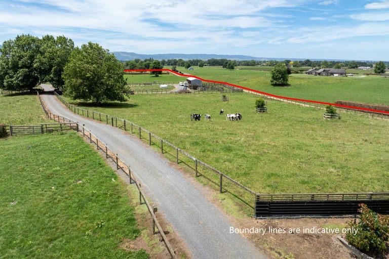 Photo of property in 162 Hinuera Road, Matamata, 3472