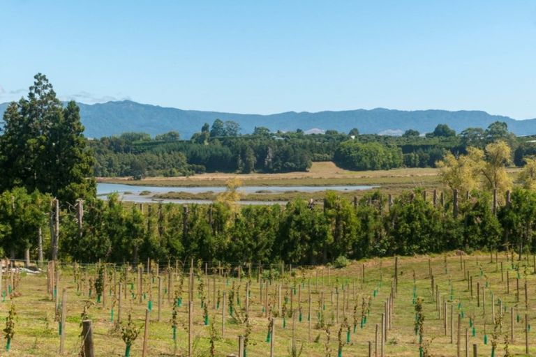 Photo of property in 195 Stewart Road, Whakamarama, Katikati, 3181