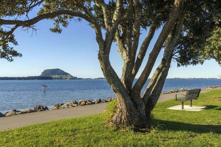 Photo of property in 99 Levers Road, Matua, Tauranga, 3110