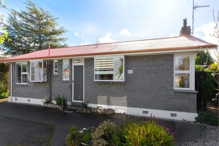 Photo of property in 51 Dillon Street, Blenheim, 7201