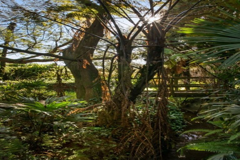 Photo of property in 25 Gilmour Street, Waihi, 3610