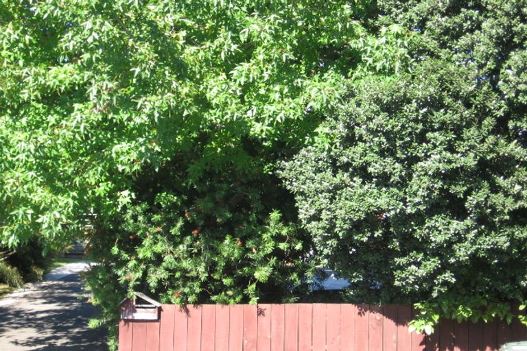 Photo of property in 721 Beach Road, Browns Bay, Auckland, 0630