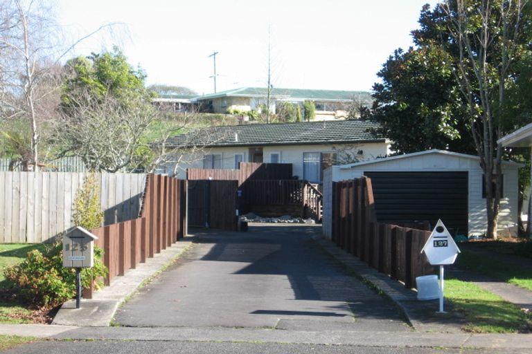 Photo of property in 125 Fairview Street, Chartwell, Hamilton, 3210