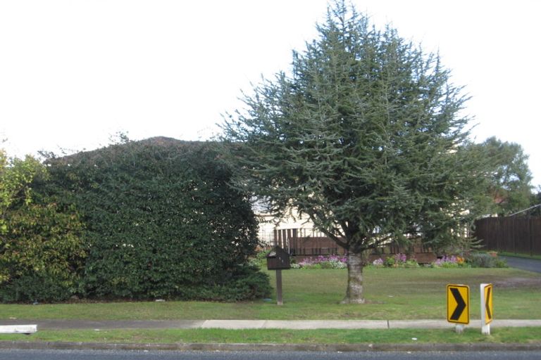 Photo of property in 115 Elliot Street, Pahurehure, Papakura, 2113