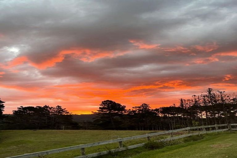 Photo of property in 48 Christian Road, Swanson, Auckland, 0614