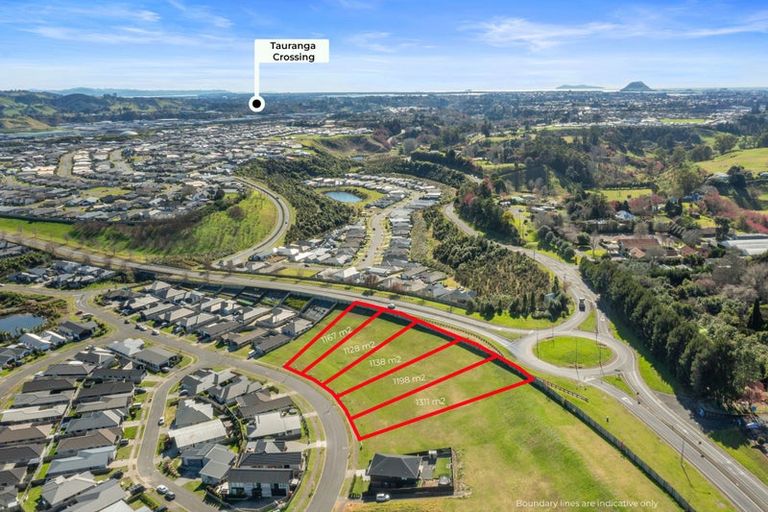 Photo of property in 51 Whakaturou Crescent, Pyes Pa, Tauranga, 3112