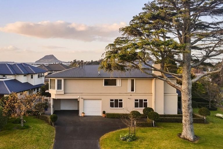 Photo of property in 75 Fifth Avenue, Tauranga, 3110