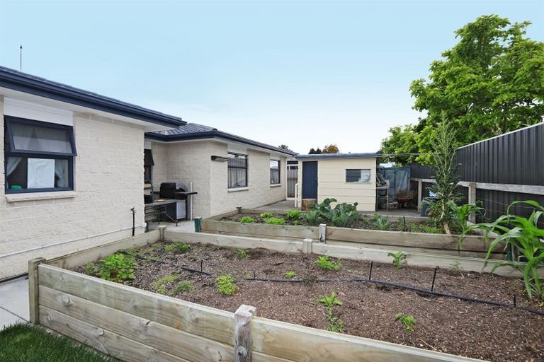 Photo of property in 528 Wall Road, Raureka, Hastings, 4120