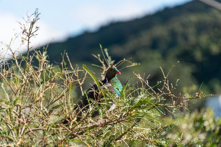 Photo of property in 4 Omar Street, Khandallah, Wellington, 6035