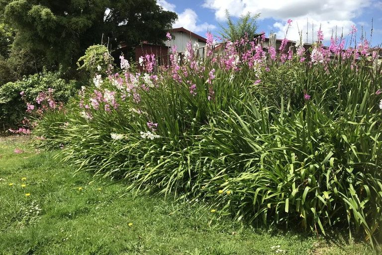 Photo of property in 23 Mill Road, Kawakawa, 0210