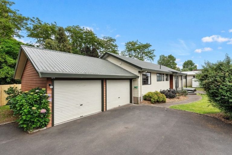 Photo of property in 48 Splitt Avenue, Glenview, Hamilton, 3206