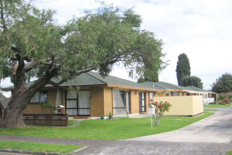 Photo of property in 19 Myres Street, Otumoetai, Tauranga, 3110