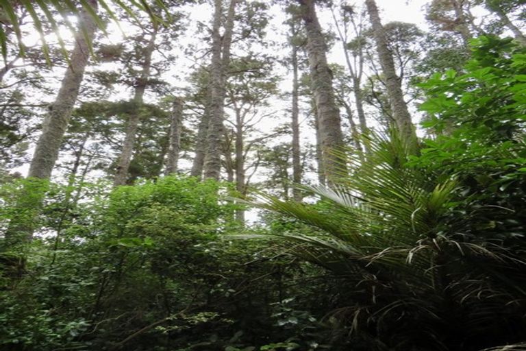 Photo of property in 504b Wairere Road, Maungaturoto, 0571