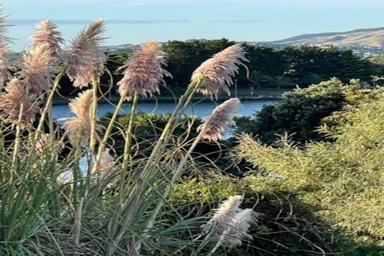 Photo of property in 8 Papakowhai Road, Papakowhai, Porirua, 5024