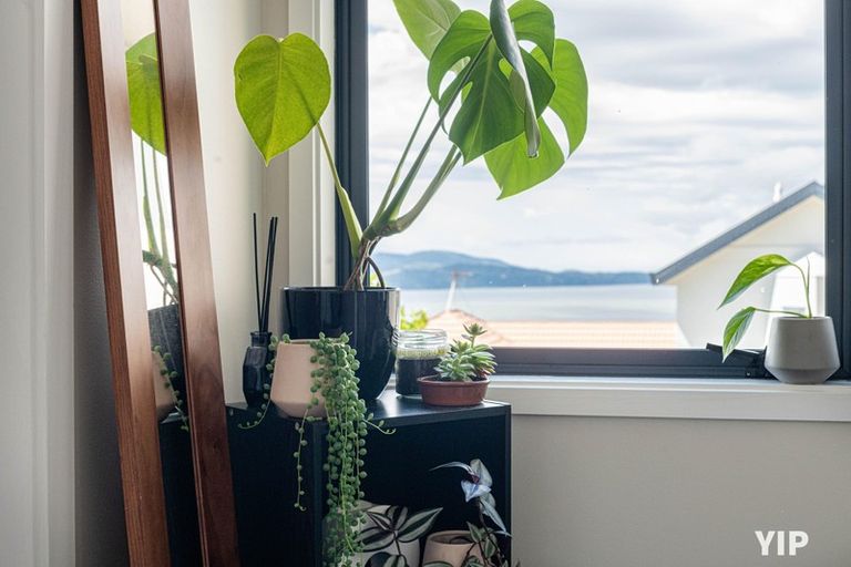 Photo of property in 79 Dress Circle, Newlands, Wellington, 6037