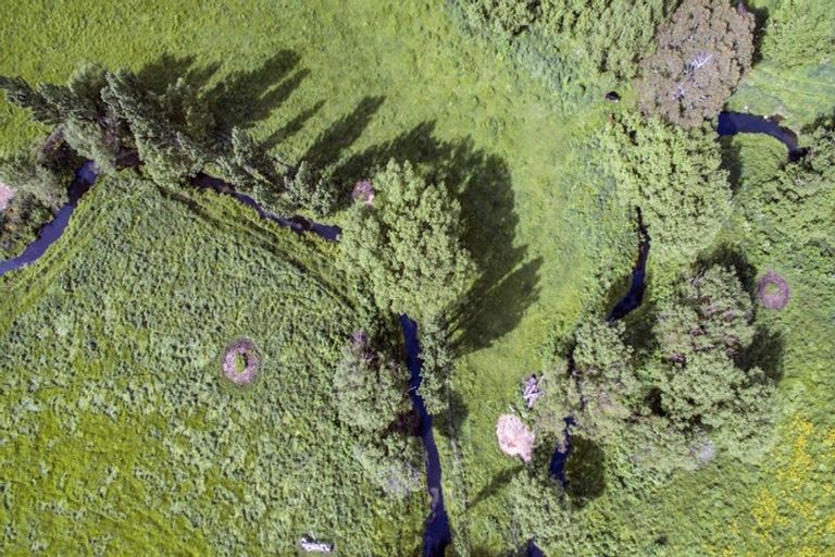 Photo of property in 162 Toppings Road, Sefton, Rangiora, 7477