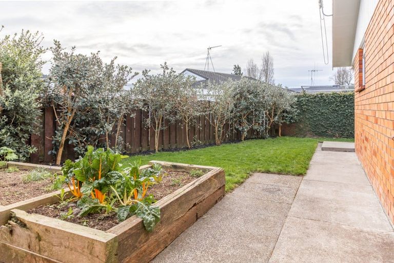 Photo of property in 2/203 Galloway Street, Hamilton East, Hamilton, 3216