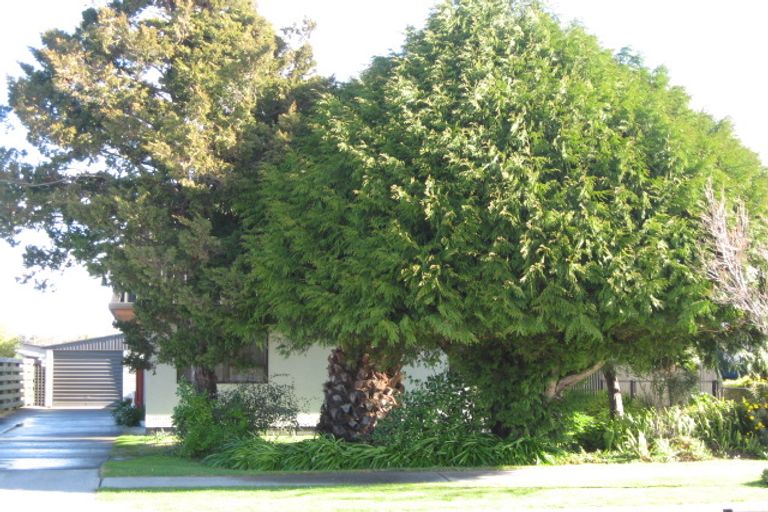 Photo of property in 206 Gascoigne Street, Raureka, Hastings, 4120