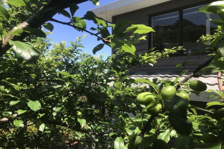 Photo of property in 66b Volga Street, Island Bay, Wellington, 6023