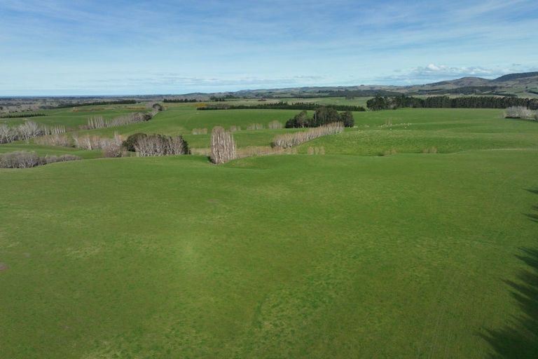 Photo of property in 41 Gray Road, Waitepeka, Balclutha, 9271