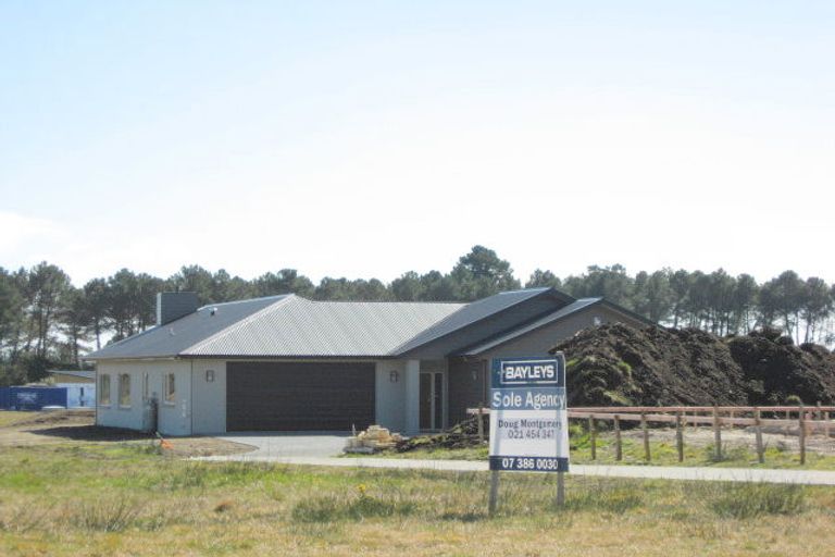 Photo of property in 120 Parekaawa Drive, Motuoapa, 3382