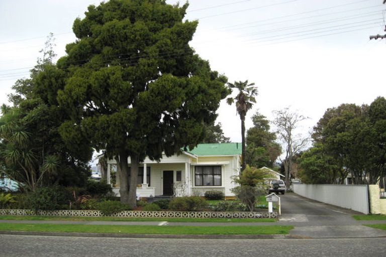 Photo of property in 176 Winchester Street, Levin, 5510