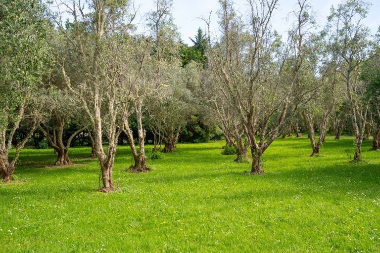 Photo of property in 284a Underhill Road, Tauwharenikau, Featherston, 5773