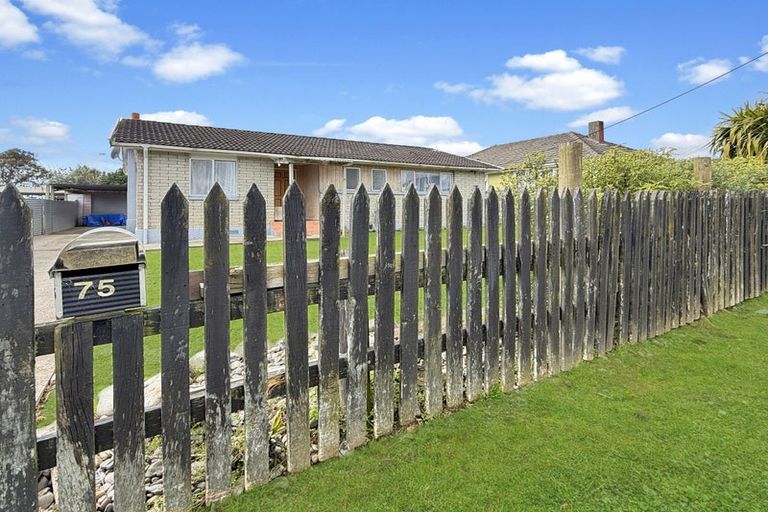 Photo of property in 75 Grey Street, Shannon, 4821