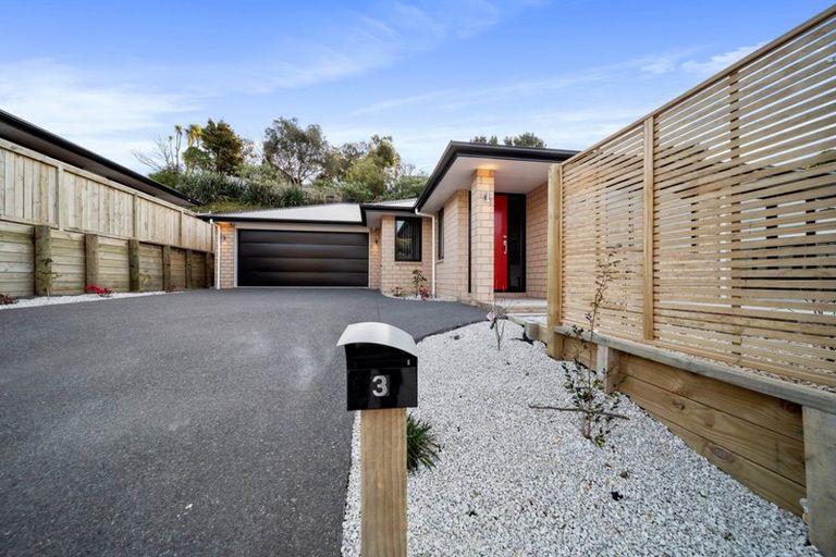Photo of property in 3 Frederick Place, Whalers Gate, New Plymouth, 4310