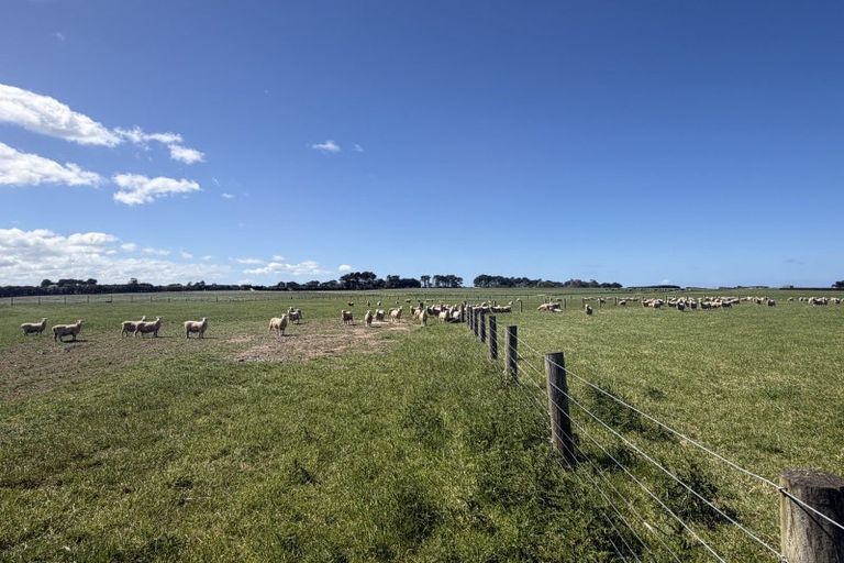 Photo of property in 166 Brand Road, Kennington, Invercargill, 9871