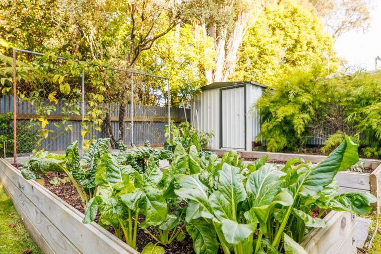 Photo of property in 20 Moerangi Street, West End, Palmerston North, 4410