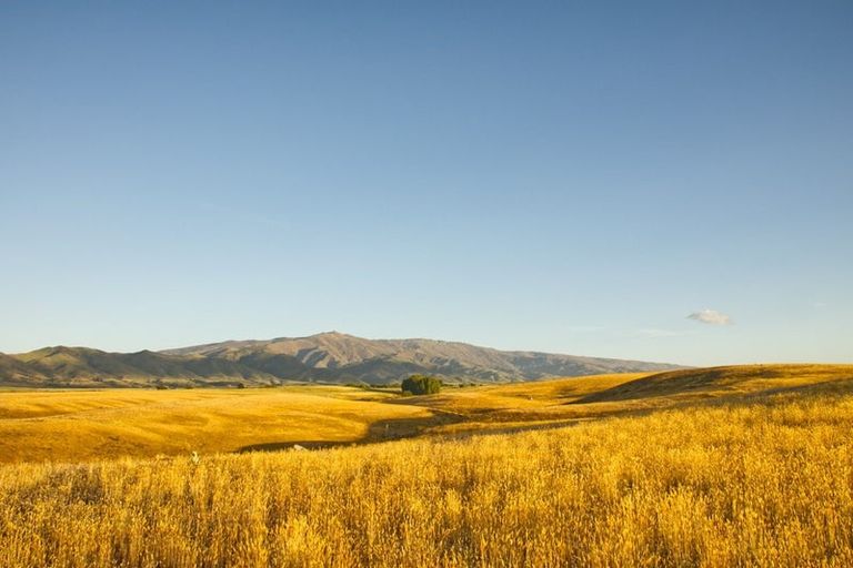 Photo of property in 45 Mcarthur Road, Springvale, Alexandra, 9391