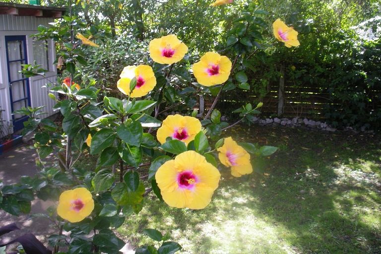 Photo of property in 11 Challinor Street, Pakuranga, Auckland, 2010