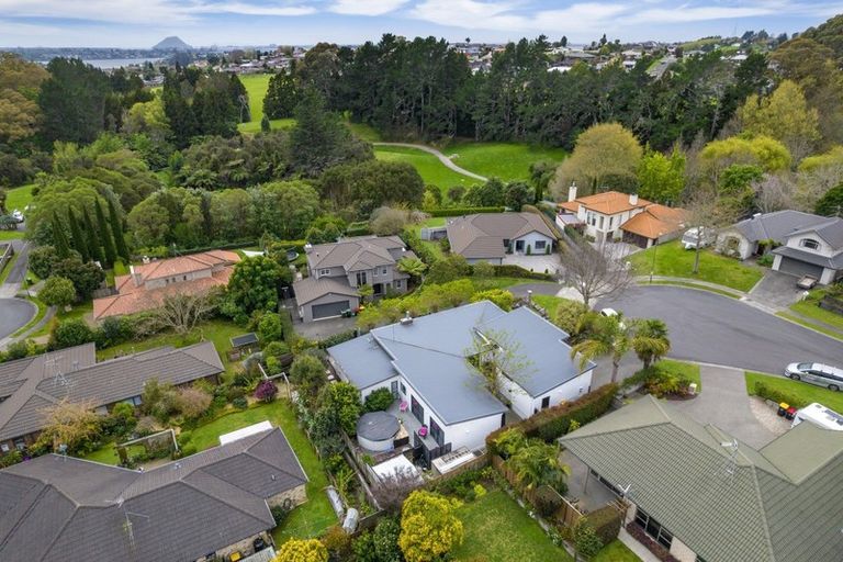 Photo of property in 43 Honeysuckle Lane, Ohauiti, Tauranga, 3112